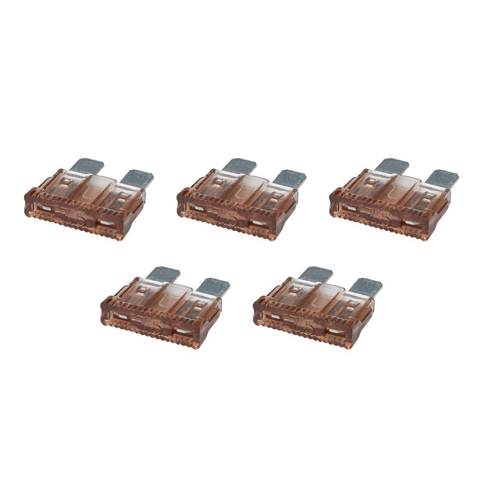 Allstar Performance Electrical Fuses ALL76364