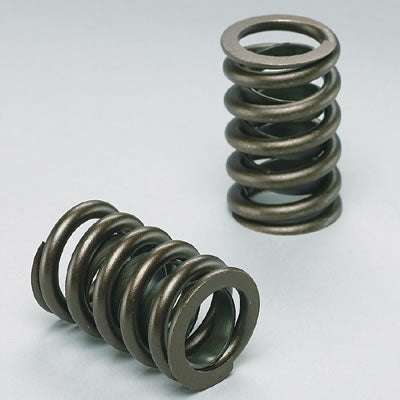 Edelbrock Sure Seat Valve Springs 5814