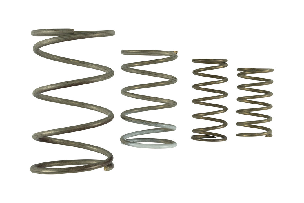 Turbosmart GenV WG60 Spring Replacement Kit