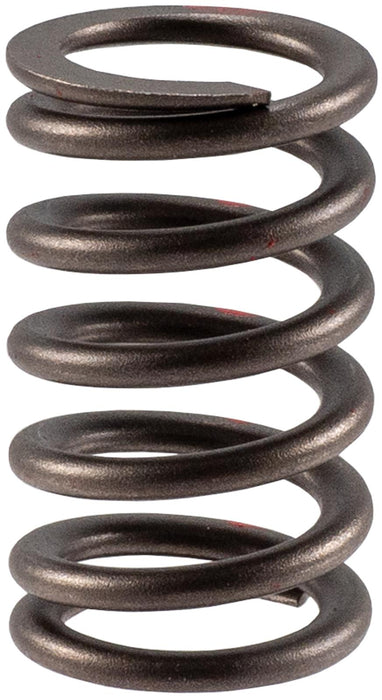 Melling Valve Springs VS-2483