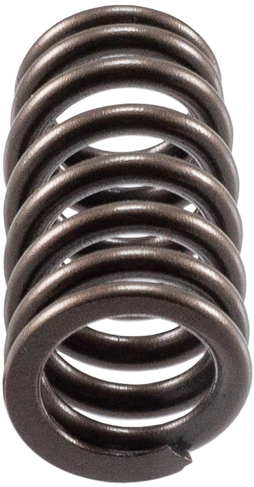 Melling Valve Springs VS-2484