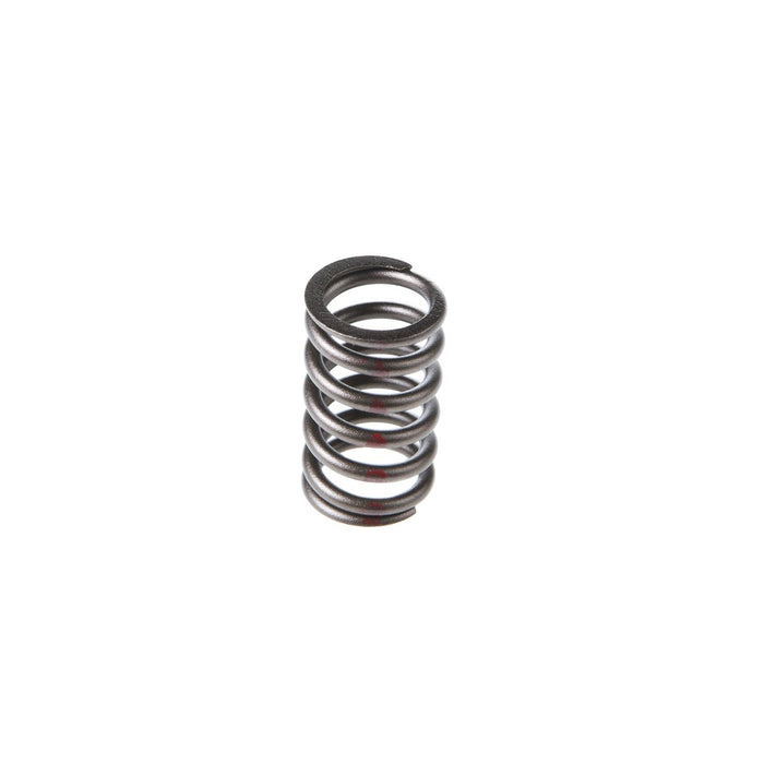 Melling Valve Springs VS-310