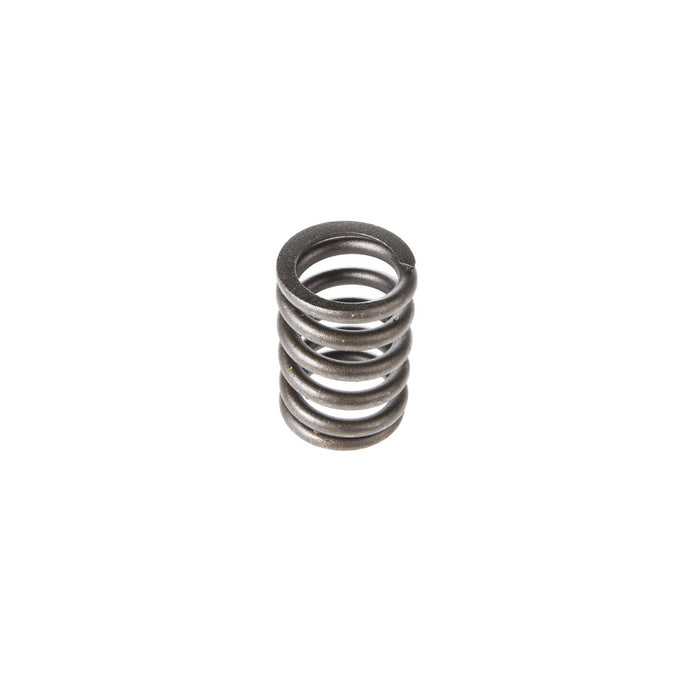 Melling Valve Springs VS-830