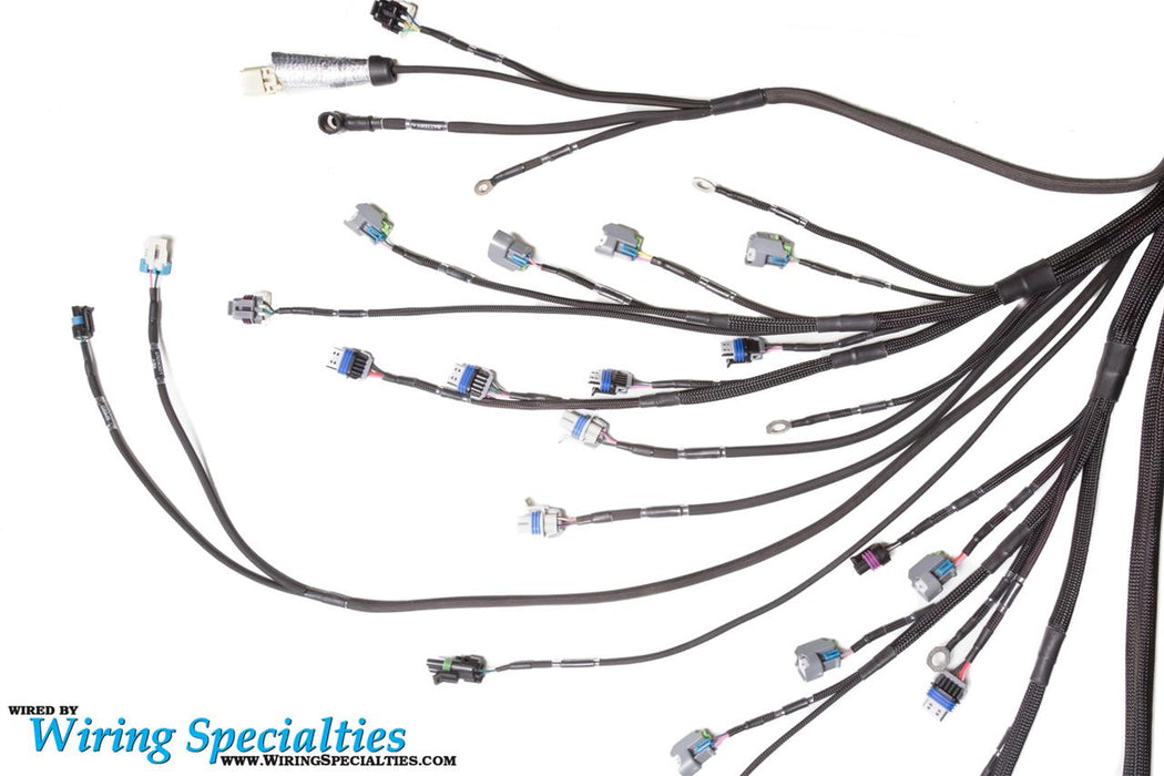 Wiring Specialties Pro Series LS2 Drive-by-Wire Engine Wiring Harnesses WPLS2UCT56CP