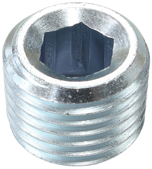 Zinc Coated Steel Port Plug AF979-08