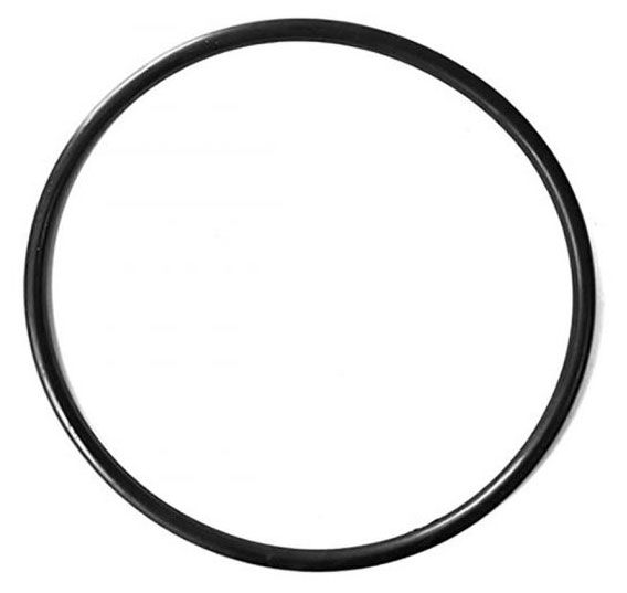 O Ring - Large BS-122