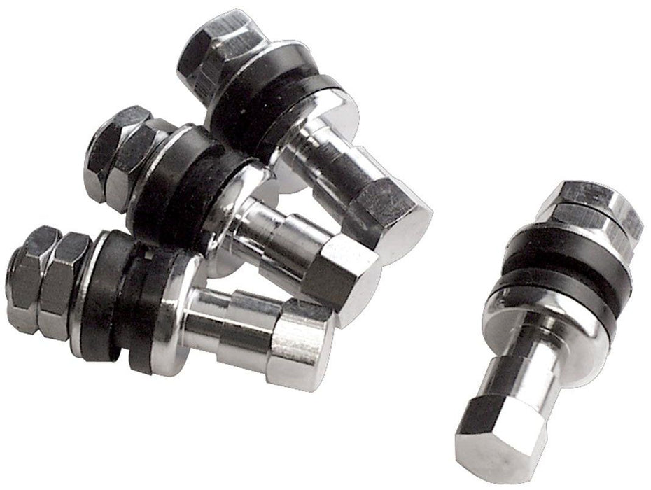 Bolt-in Valve Stems - Chrome BS999900