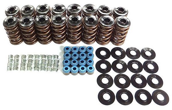 Dual Valve Spring Kit CCVTKLS9