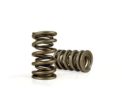 Race Street Dual Valve Springs CO26926-16