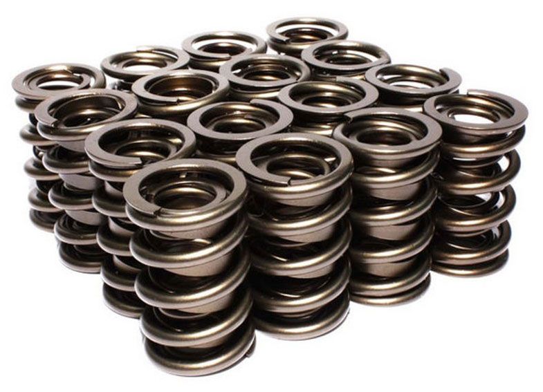 Dual Valve Spring Set, 494 Spring Rate CO933-16