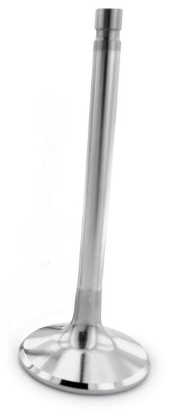 5000 Series Exhaust Valve FVF5104