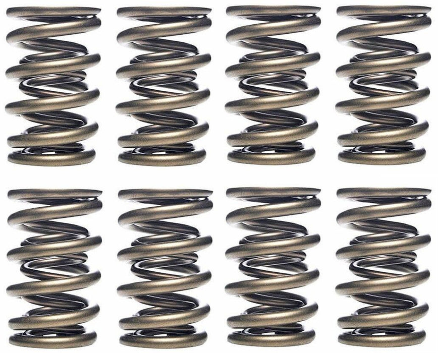 Dual Valve Springs FVS10033-24