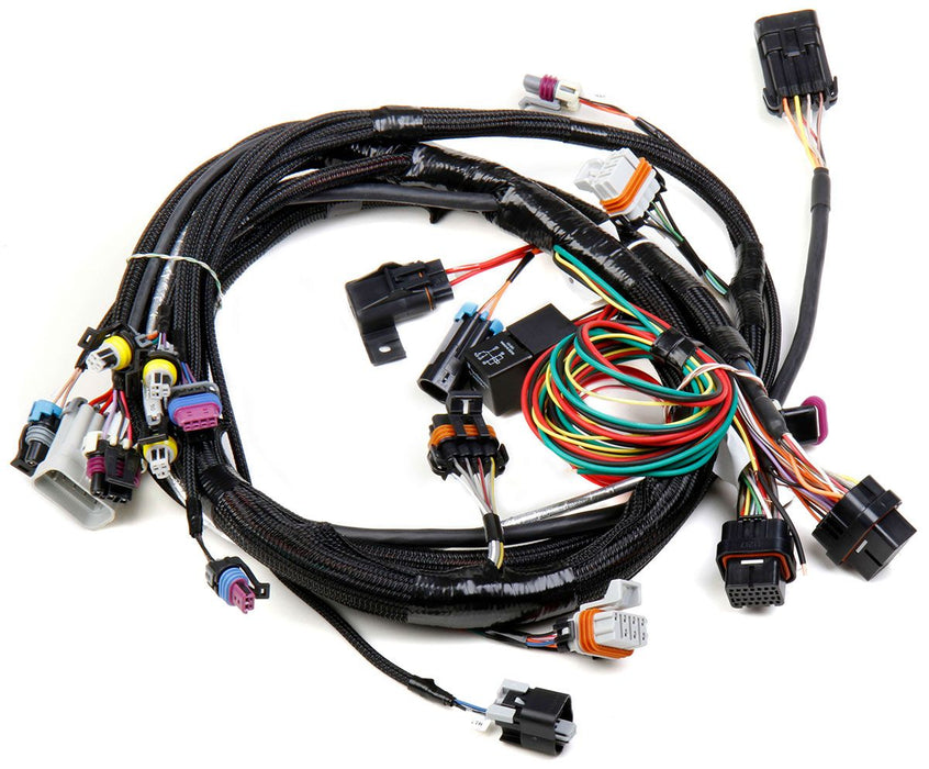 LS1/LS6 Main Wiring Harness HO558-102