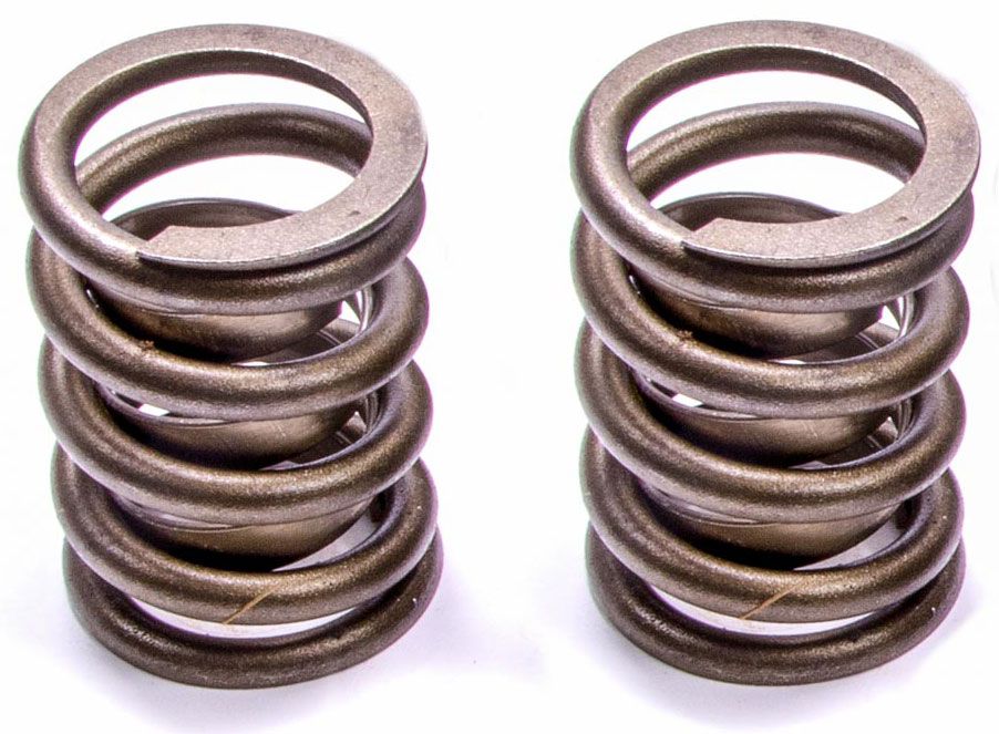 Single Valve Springs (Set) ISK185G