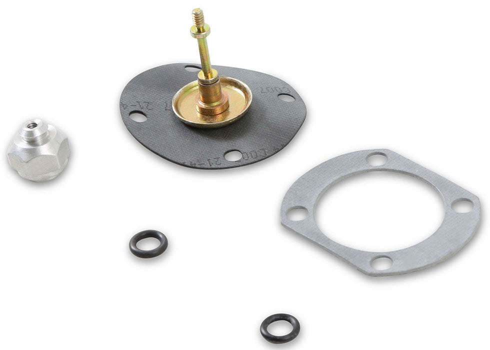 Replacement Diaphragm Kit ( Plunger Type) MSD29869