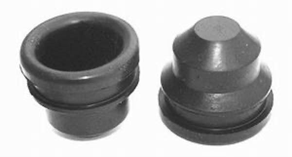 Push-in Valve Cover Rubber Grommet (2 Pack) RPCR4878