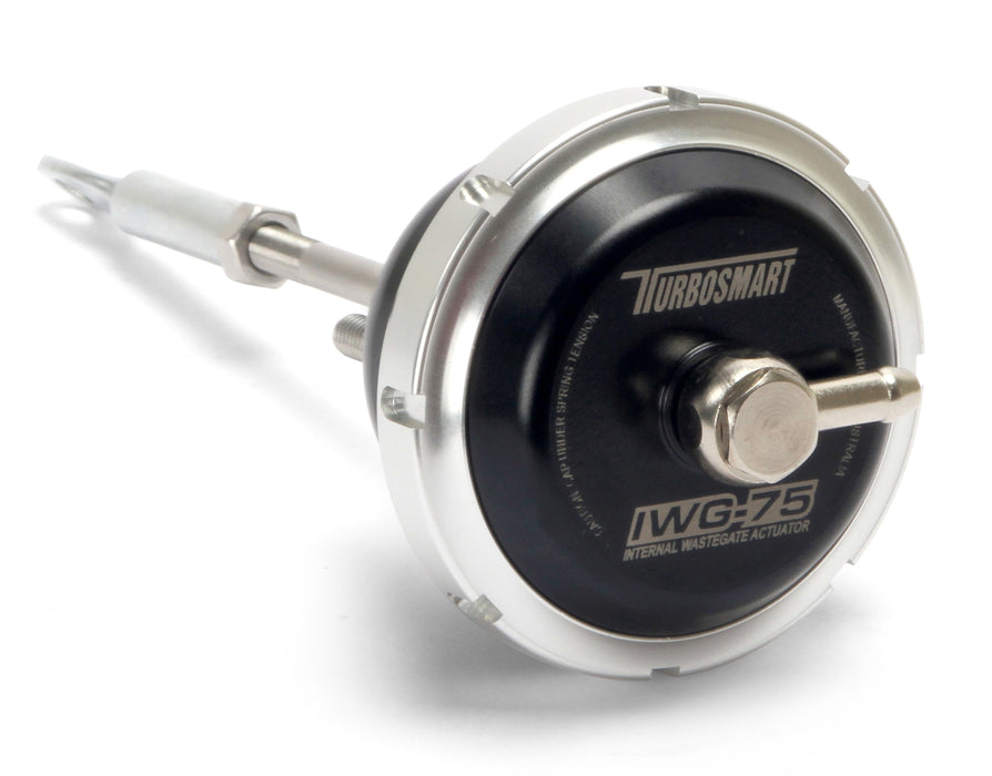 Internal Wastegate (IWG-75) TS-0622-1072