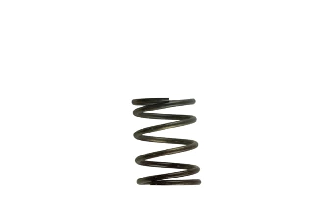 Wastegate Spring TS-0505-2002