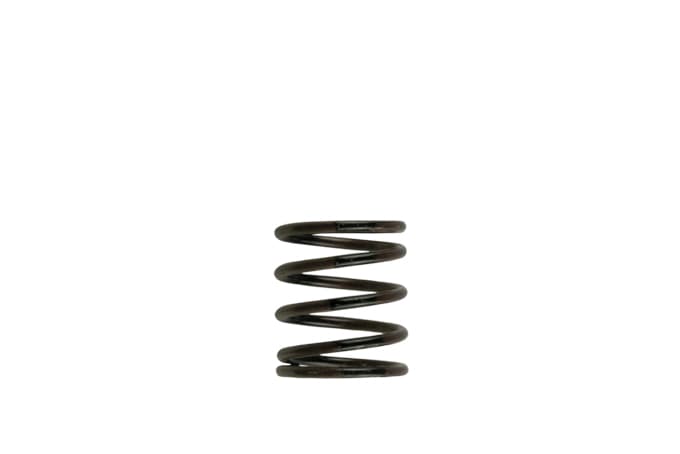 Wastegate Spring TS-0505-2001