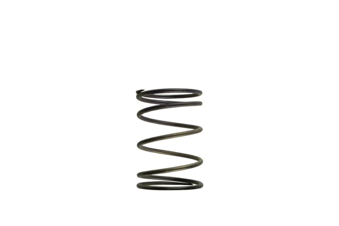 Wastegate Spring TS-0502-2003