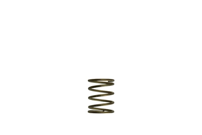 GenV WG45/50 3psi Orange Inner Spring