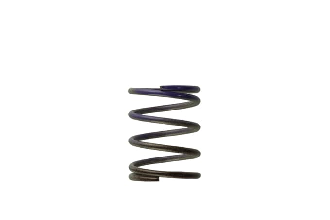 Wastegate Spring TS-0505-2003