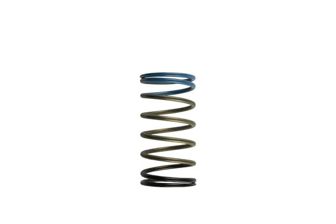 Wastegate Spring TS-0502-2004